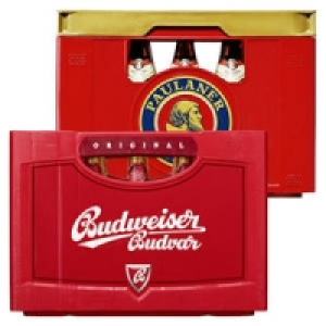 Paulaner Wei&szlig;bier oder Budweiser
