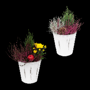 GARDENLINE Bepflanztes Holzgefäß 5.99 €