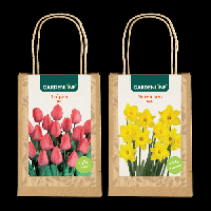 GARDENLINE Narzissen- / Tulpenzwiebeln 3.99 €