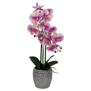 CASA DECO Naturgetreue Orchidee im Topf 19.99 €