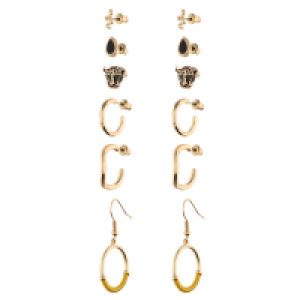 Accessories Ohrschmuck-Set aus Ohrsteckern und Creolen