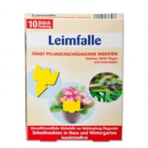 Leimfalle 3.99 €