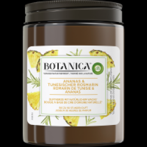 Rossmann Air Wick Botanica Duftkerze Ananas & Rosmarin