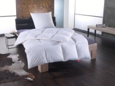 Sannwald Luxus Gänse-Daunen-Kassettenbettdecke warm 189.00 €