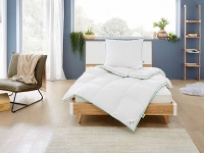 OBB Daunen-Kassettenbettdecke Greenfirst extrawarm 159.00 €