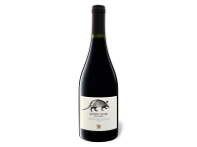 Lidl Viajero VIAJERO Pinot Noir Valle de Leyda Gran Reserva trocken, Rotwein 2018