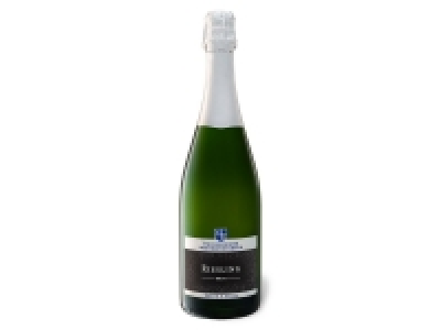 Deidesheimer Weinmanufaktur Riesling Sekt b.A. brut, Schaumwein