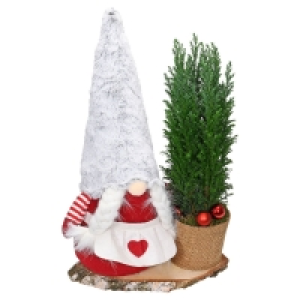 Aldi Süd  Weihnachts-Arrangement