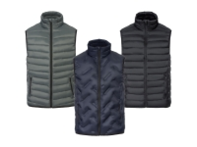 Lidl Livergy® LIVERGY® Herren Lightweightweste, mit Stehkragen