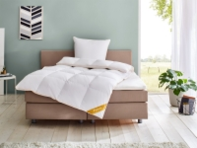 Balette deLuxe Gänsedaunen-Kassettenbettdecke Gold-Edition extra-warm 219.00 €