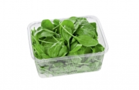 Babyspinat 1.99 €