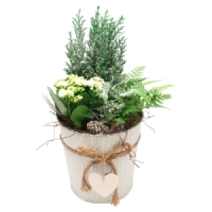 GARDENLINE® Weihnachtliches Arrangement 8.99 €