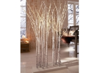Pureday LED-Deko-Objekt Birkenwald 120.04 €