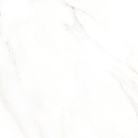 OBI  Bodenfliese Premium Marble Calacatta Feinsteinzeug Glasiert Poliert 58