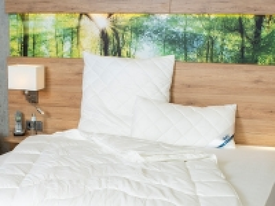 BeCo Kopfkissen »Proneem«, mit Milbenschutz, 100 % Baumwolle, gesteppt 19.99 €