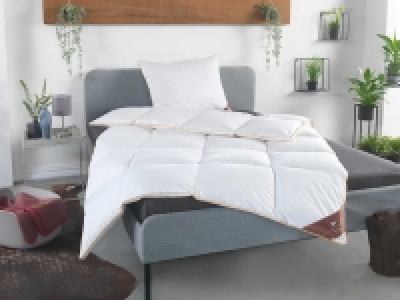 HÄUSSLING Royal Daunen-Kassettenbettdecke extrawarm 119.00 €