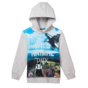 Jungen-Sweatshirt mit Kapuze 5.00 €
