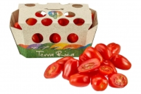 Cherry- oder Romacherry- Tomaten 1.99 €