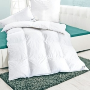 Kassettenbett 29.99 €