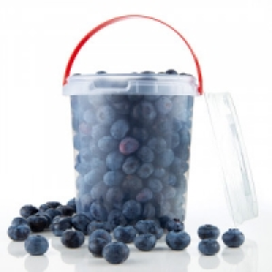Premium Kultur-Heidelbeeren 17.99 €