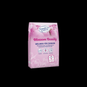 Dresdner Essenz Geschenkset Blossom Beauty Wellness für Zuhause