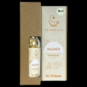 Rossmann Teaballs Bio Ingwer naturtrüb