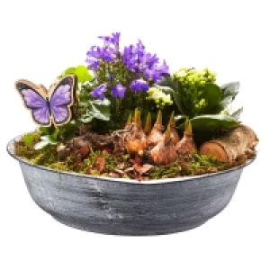 GARDENLINE® Frühlingsarrangement