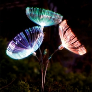 LED-Solar-Blume Dandelion 14.99 €