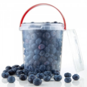 Premium Kultur-Heidelbeeren 10.99 €