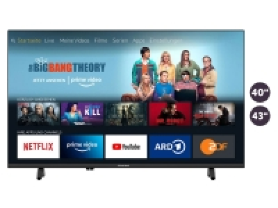 GRUNDIG Fernseher Full HD SmartTV FireTV Edition GFB 6070 349.00 €