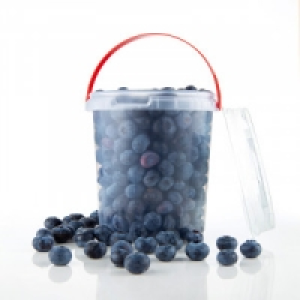 Premium Heidelbeeren 3.79 €