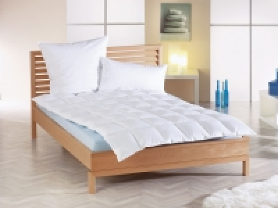 HÄUSSLING Daunen-Kassettenbettdecke medium 49.99 €
