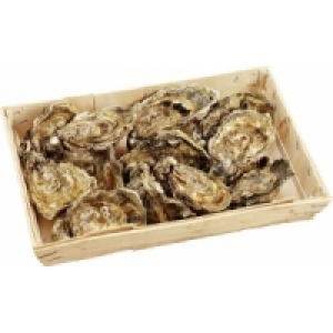 Felsenauster Fine de Claire Nr.2 0.79&nbsp;&euro;