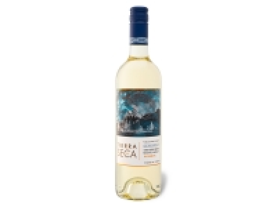 Tierra Seca Chile Goldmuskateller Valle de Elqui Reserva trocken, Weiß