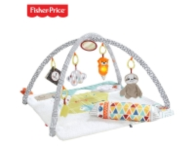 Lidl Fisher Price Fisher-Price 5-Sinnes Spieldecke, mit Meilenstein-Tafel (SIOC)