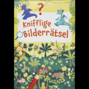 Ideenwelt Beschäftigungsblock Knifflige Bilderrätsel