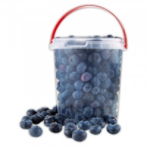 Premium Kulturheidelbeeren 2.99 €