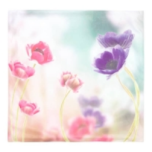 Kissenhülle in Samt-Optik, ca. 50x50cm 2.79 €
