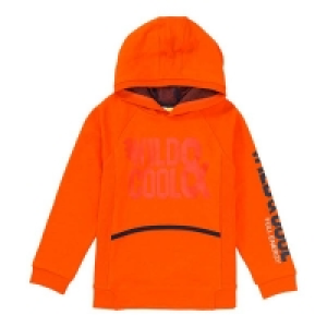 Jungen-Sweatshirt mit Kapuze 8.99 €