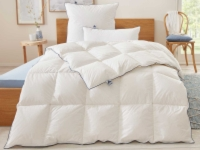 irisette® Premium Gänsedaunen-Kassettendecke »Oslo«, warm 79.99 €