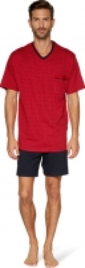 GÖTZBURG Schlafanzug Alan, Minimal-Print, V-Ausschnitt, für Herren