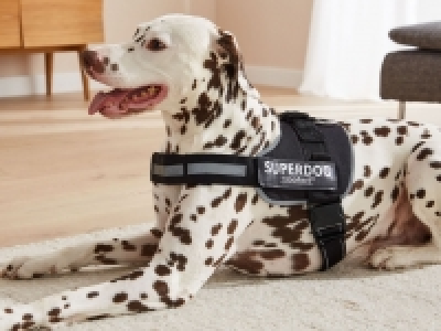 ZOOFARI® Hundegeschirr, mit weicher Fütterung für angenehmes Tragegefü