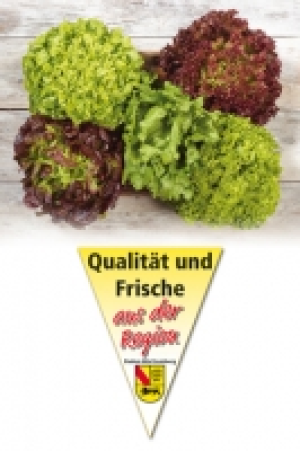 Filderstädter Bunte Salate 0.49 €