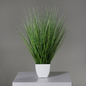 Roller  Beach-Gras - california green - 50 cm