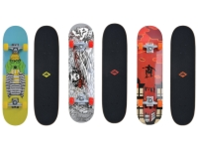 Schildkröt Skateboard Kicker