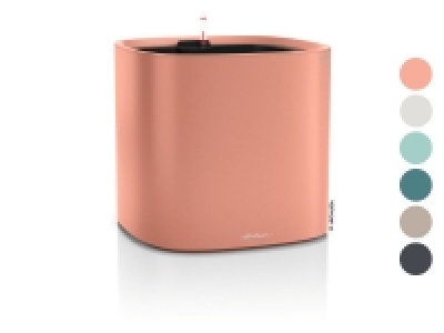 Lechuza Pflanzgefäß »Pila Color Planter«, L 35 x B 35 x H 33 cm 54.85 €