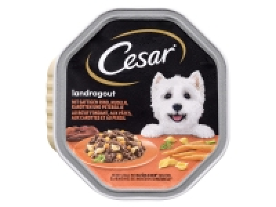 Cesar Hundenassfutter Landküche mit Rind, Pasta und Karotten in köstli