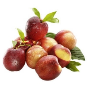 Spanien Nektarinen 2.77 €