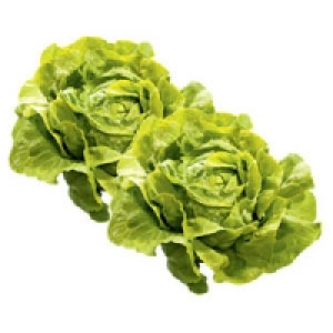 Deutschland Kopfsalat