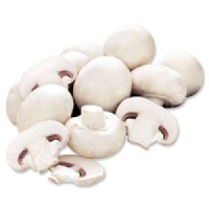 Niederlande Polen Champignons, wei&szlig;